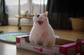 华体会登录-旧神黄昏与新神加冕，沙特资本横扫欧冠劲旅，托尼生涯之夜折射足坛变革