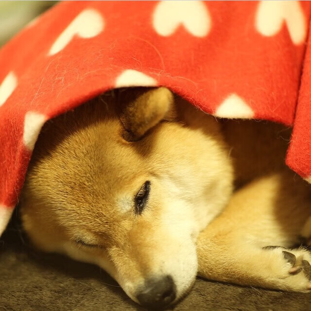 华体会app-AC米兰以持续攻势征服加纳,基耶萨教科书级表现诠释进攻艺术 第1张 华体会app-AC米兰以持续攻势征服加纳,基耶萨教科书级表现诠释进攻艺术 第1张